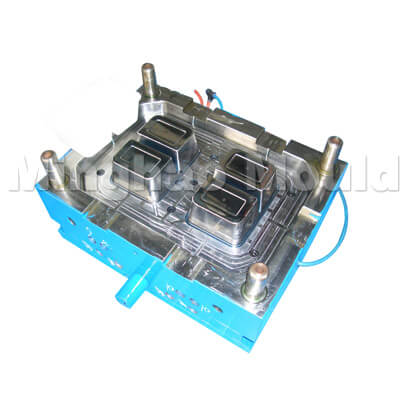 Core of Thin Wall Mould
